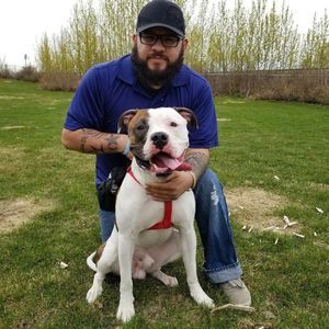 Meet your Posher, Mike